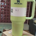 Stanley Quencher Tumbler – Pistachio Green