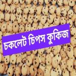 চকলেট চিপস কুকিজ - ২৫০গ্রাম